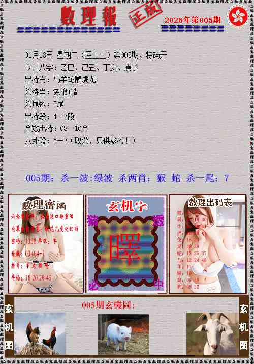 005期数理报[图]