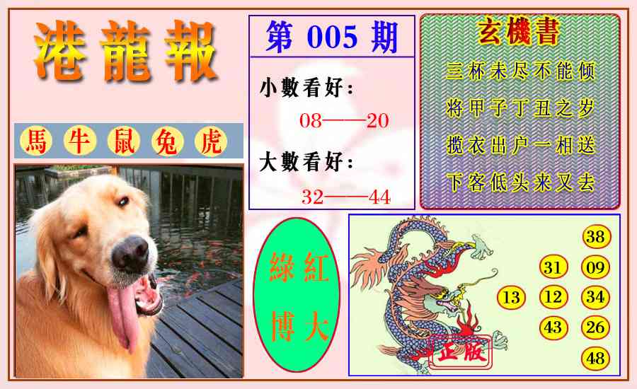 005期港龙报[图]