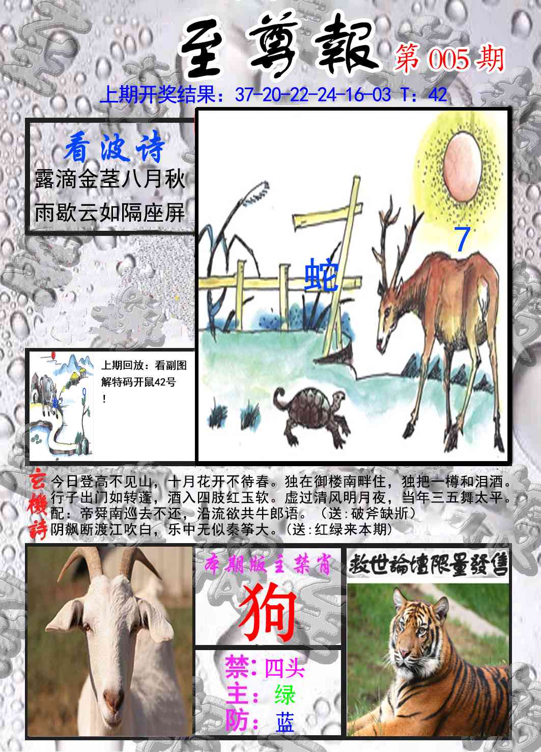 005期至尊报[图]