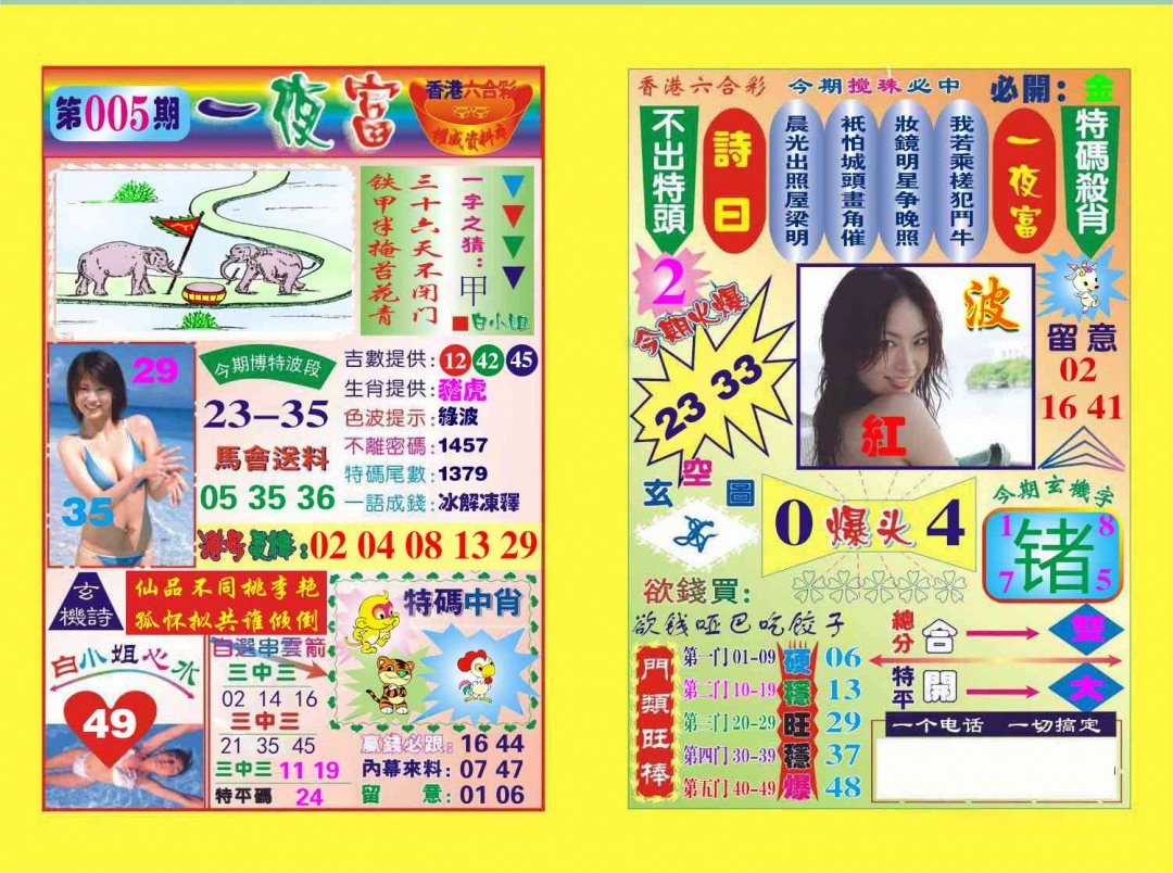 005期一夜富[图]