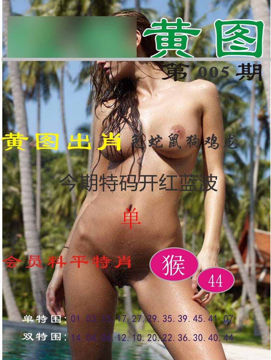 005期黄图[图]