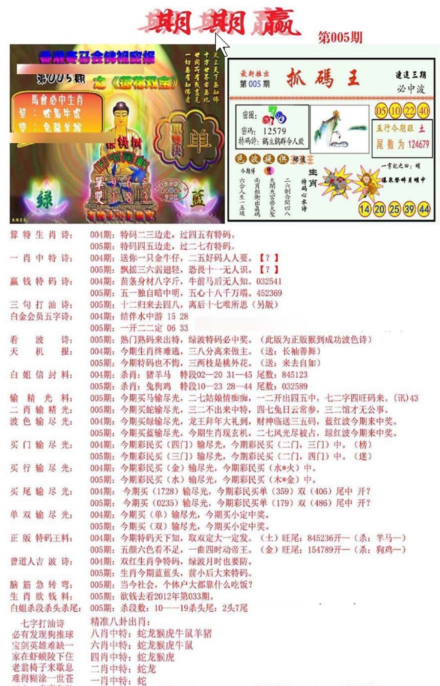 005期期期赢[图]