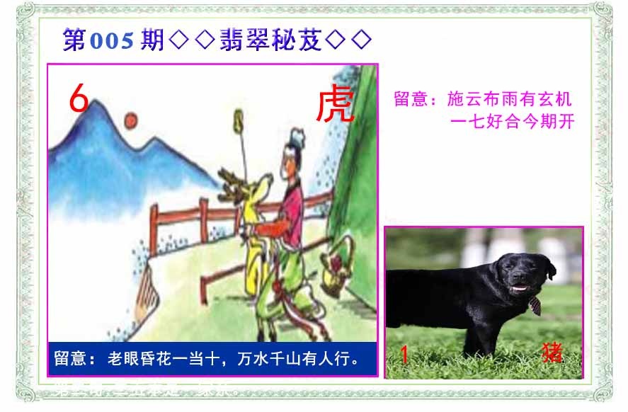 005期翡翠报[图]