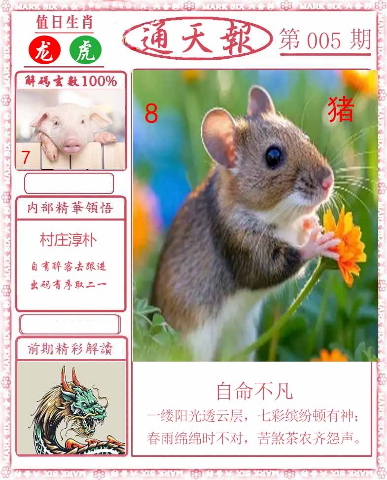 005期正版通天报[图]