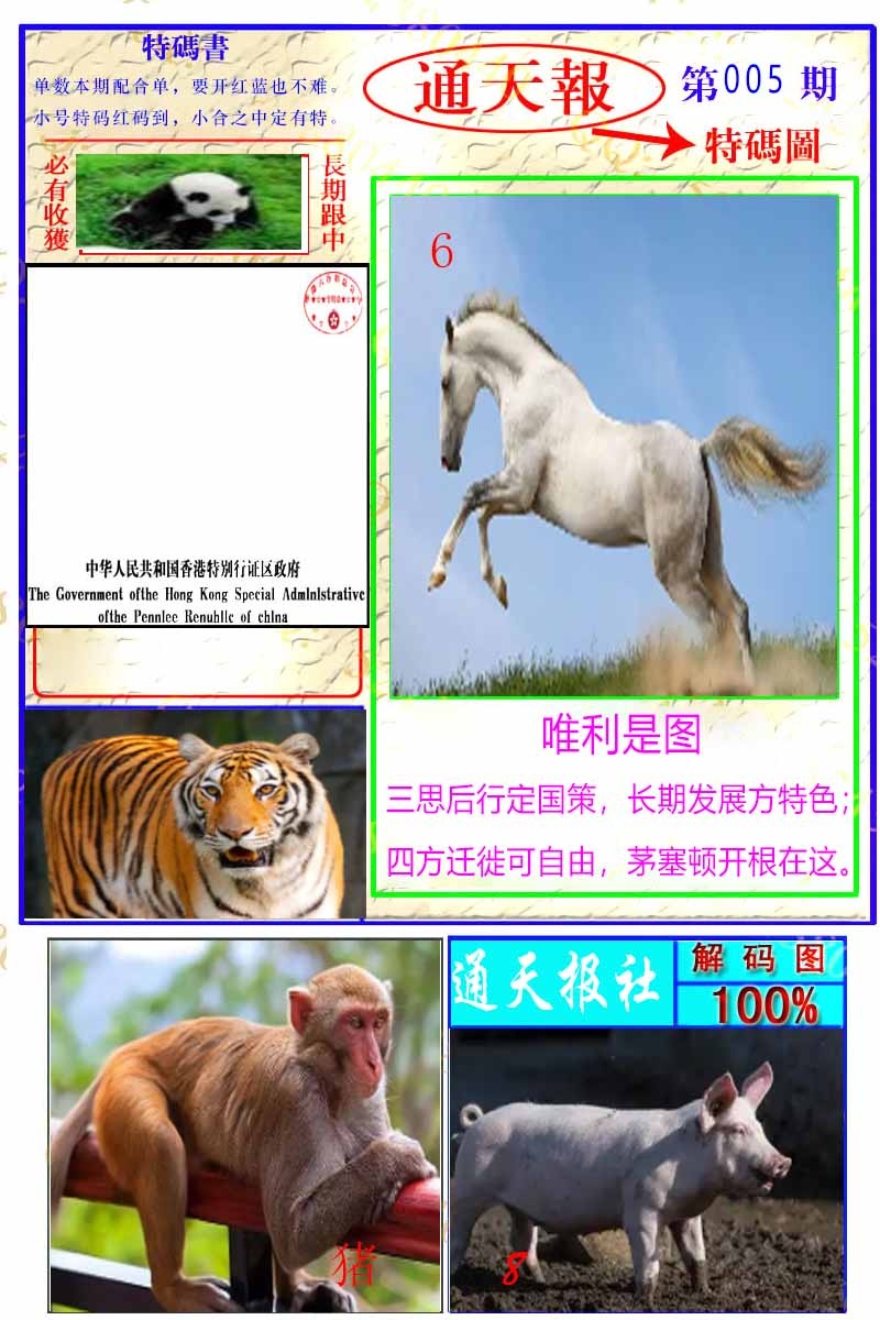 005期通天特解图[图]