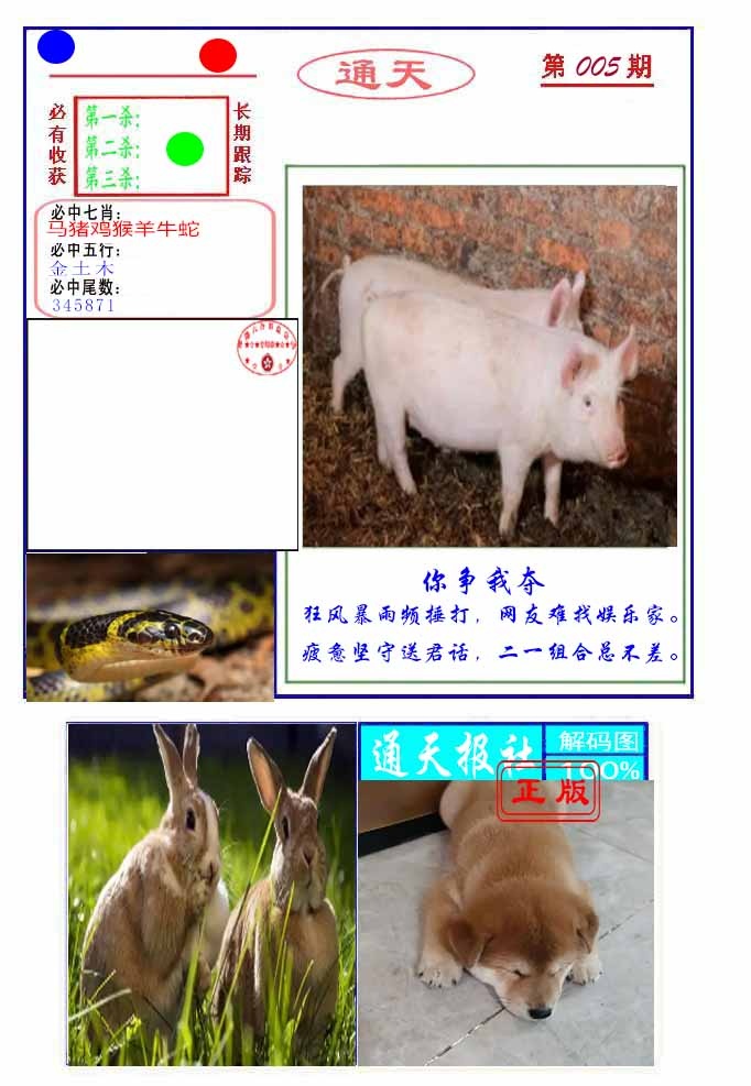 005期通天杀波图2[图]