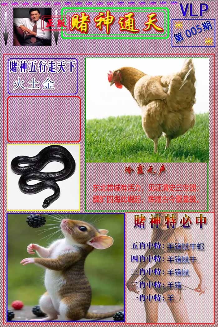 005期赌神通天报[图]