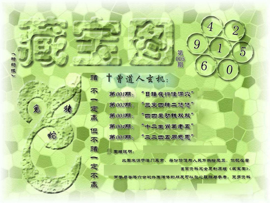 005期假新藏宝图[图]