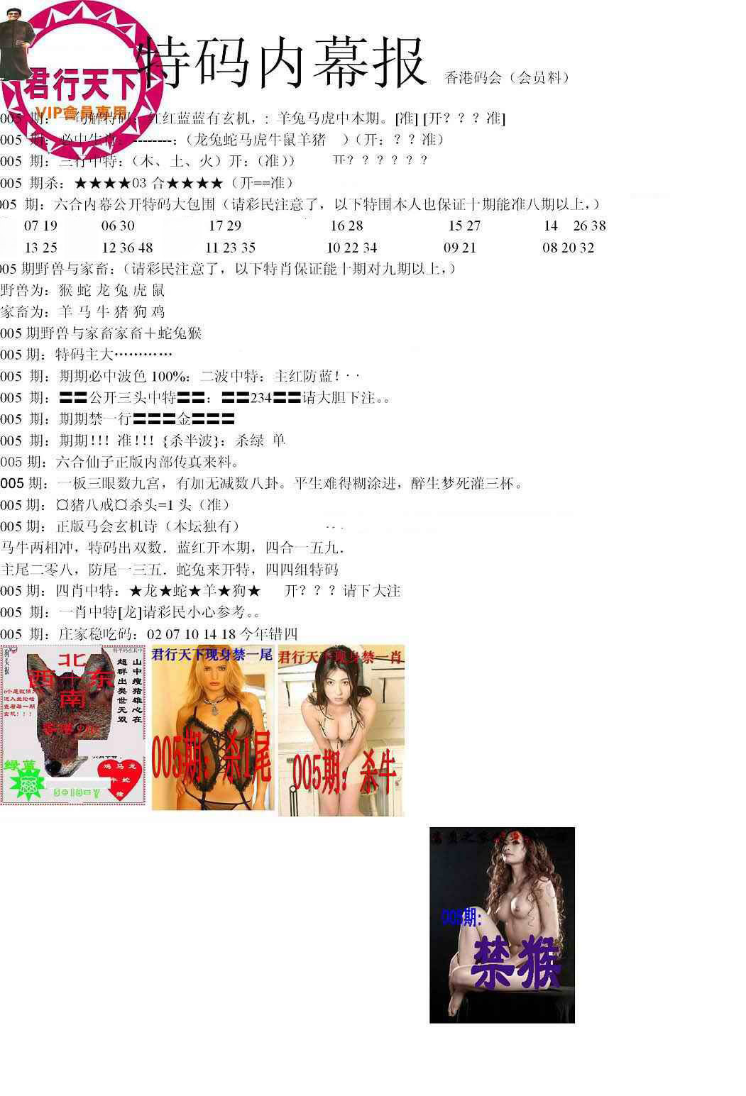 005期特码内幕报[图]