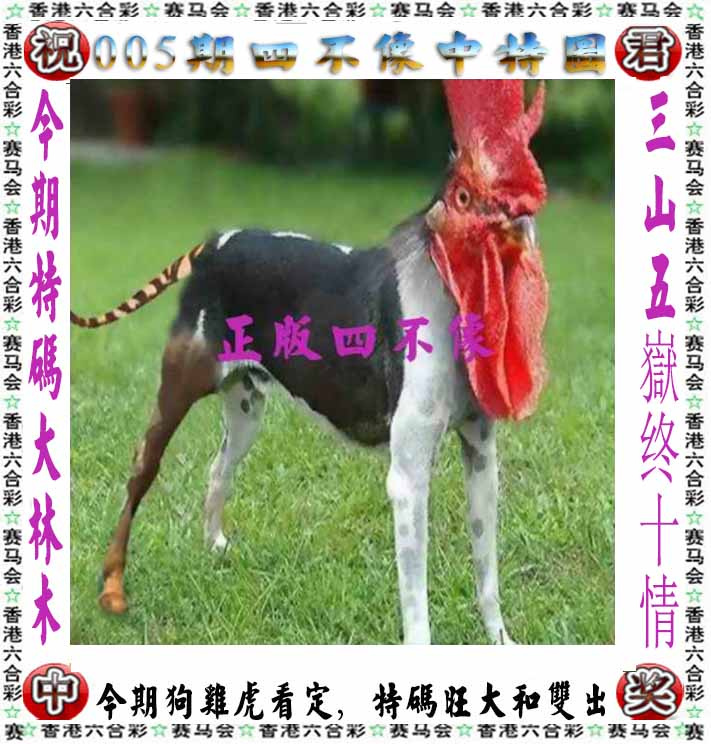 005期正版四不像[图]