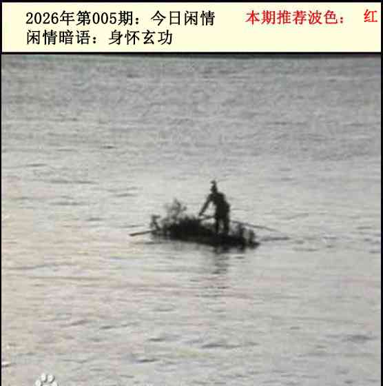 005期今日闲情2[图]