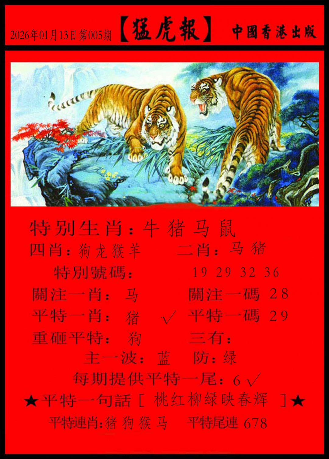 005期猛虎报[图]