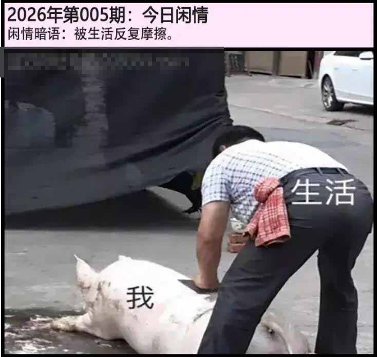 005期另版今日闲情[图]